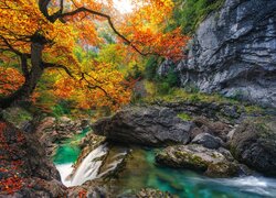 Hiszpania, Huesca, Park Narodowy de Ordesa y Monte Perdido, Drzewa, Las, Rzeka, Jesień, Skały, Kaskada, Liście