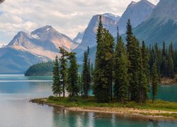 Kanada, Park Narodowy Jasper, Góry, Jezioro Maligne, Wyspa Ducha, Drzewa