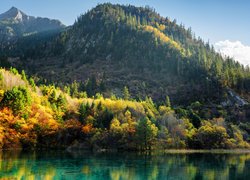 Park Narodowy Jiuzhaigou, Jesień, Las, Góry, Jezioro Wu Hua Hai - Pięciu Kwiatów, Drzewa, Chiny