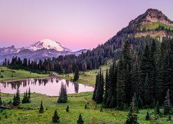 Park Narodowy Mount Rainier w stanie Waszyngton