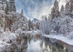 Park Narodowy Yosemite i rzeka Merced River w zimowej szacie