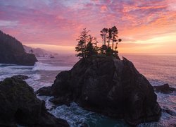 Park stanowy Samuel H Boardman State Scenic Corridor o wschodzie słońca