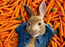 Peter Rabbit na marchewkach