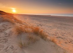 Piaszczysta plaża w holenderskim kurorcie Cadzand