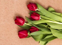 Pięć czerwonych tulipanów z listkami