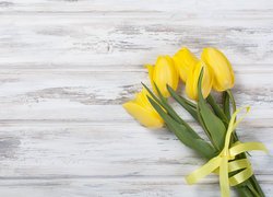 Pięć żółtych tulipanów