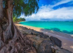 Plaża Kalihiwai Beach nad oceanem na wyspie Kauai