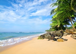Sri Lanka, Morze, Plaża, Kamienie, Palmy