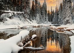 Płynąca rzeka przez zaśnieżony las