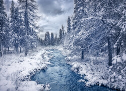 Pochmurne niebo nad zimowym lasem i rzeką