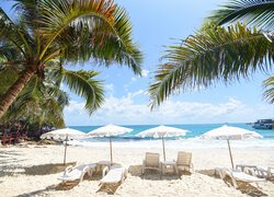 Pochylone palmy i leżaki pod parasolami na morskiej plaży