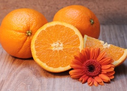 Pomarańcze i kwiat gerbery