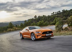 Pomarańczowy Ford Mustang GT