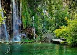 Las, Drzewa, Wodospad, Kamienie, Skały, Jezioro, Pomost, Park Narodowy Jezior Plitwickich, Chorwacja