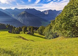 Domki, Polana, Drzewa, Góry, Alpy, Braunwald, Szwajcaria