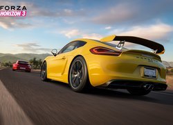 Porsche GT4 w grze Forza Horizon 3