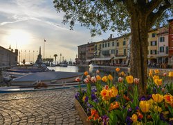 Kwiaty, Tulipany, Drzewo, Domy, Zatoka, Łodzie, Portofino, Włochy