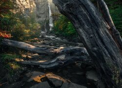 Powalone drzewa na rzece i wodospad na skałach w tle