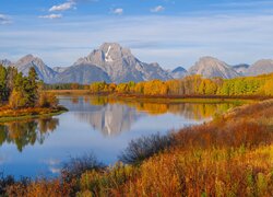 Park Narodowy Grand Teton, Góry, Teton Range, Las, Drzewa, Krzewy, Jesień, Rzeka Snake River, Stan Wyoming, Stany Zjednoczone