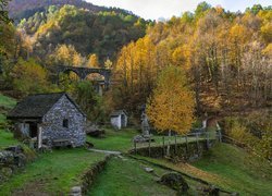 Pożółkłe drzewa obok wiaduktu i kamiennego domu w dolinie Vigezzo we Włoszech