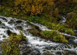 Pożółkłe krzewy nad rwącym potokiem