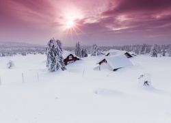 Promienie słońca oświetlają drzewa i domy zasypane śniegiem