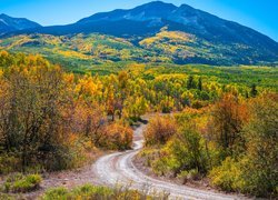 Jesień, Przełęcz, Kebler Pass, Góry, Sawatch Range, Drzewa, Droga, Kolorado, Stany Zjednoczone