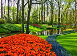 Rabaty wiosennych kwiatów nad rzeką w parku