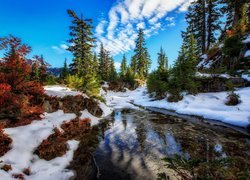 Stany Zjednoczone, Stan Waszyngton, Rezerwat przyrody Alpine Lakes Wilderness, Jezioro, Zima, Świerki