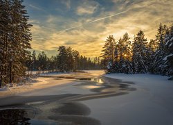 Zima, Rzeka, Las, Drzewa, Śnieg, Rezerwat, Przyrody, Glaskogen, Arvika, Szwecja