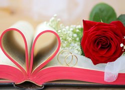 Róża i obrączki na książce