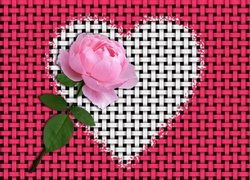Serce, Kwiat, Róża