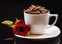 Róża na spodku i ziarna kawy w filiżance