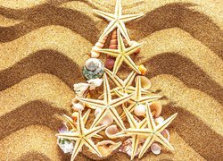 Rozgwiazdy i muszelki ułożone na piasku w kształcie choinki