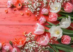 Rozkwitnięte tulipany i gipsówka na czerwonych deskach
