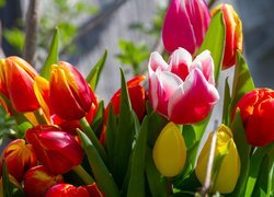 Różnokolorowe tulipany w bukiecie