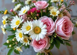 Kwiaty, Bukiet, Różowe, Róże, Białe, Margerytki