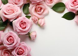 Kwiaty, Różowe, Róże, Listki