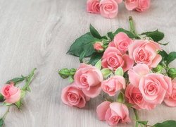 Różowe, Róże, Pąki, Deski