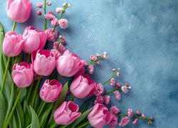 Kwiaty, Różowe, Tulipany, Niebieskie, Tło