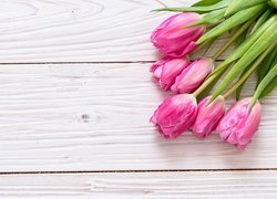 Różowe, Tulipany, Białe, Deski