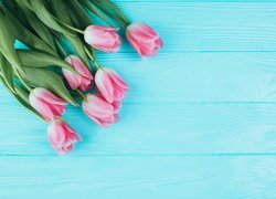 Kwiaty, Różowe, Tulipany, Niebieskie, Deski