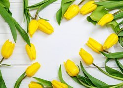 Kwiat, Żółte, Tulipany, Biała, Kartka, Deski