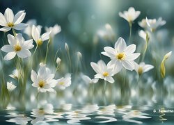Rozświetlone białe kwiaty w wodzie