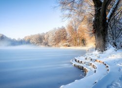 Rozświetlone drzewa i mgła unosząca się nad zamarzniętym jeziorem