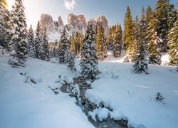 Zima, Śnieg, Drzewa, Las, Ośnieżone, Strumyk, Góry