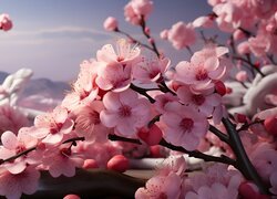 Rozświetlone gałązki kwitnącej wiśni na tle nieba
