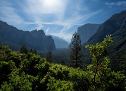 Park Narodowy Yosemite, Góry, Drzewa, Mgła, Skały, Liście, Wodospad, Kalifornia, Stany Zjednoczone