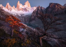 Argentyna, Patagonia, Ośnieżone, Góry, Szczyt Fitz Roy, Jezioro, Drzewa