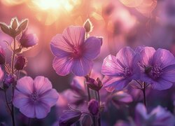 Rozwinięte fioletowe kwiaty w blasku światła
